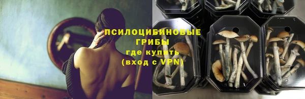 СК Майский