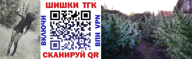 Шишки марихуана AK-47  Купить закладки  Апатиты 